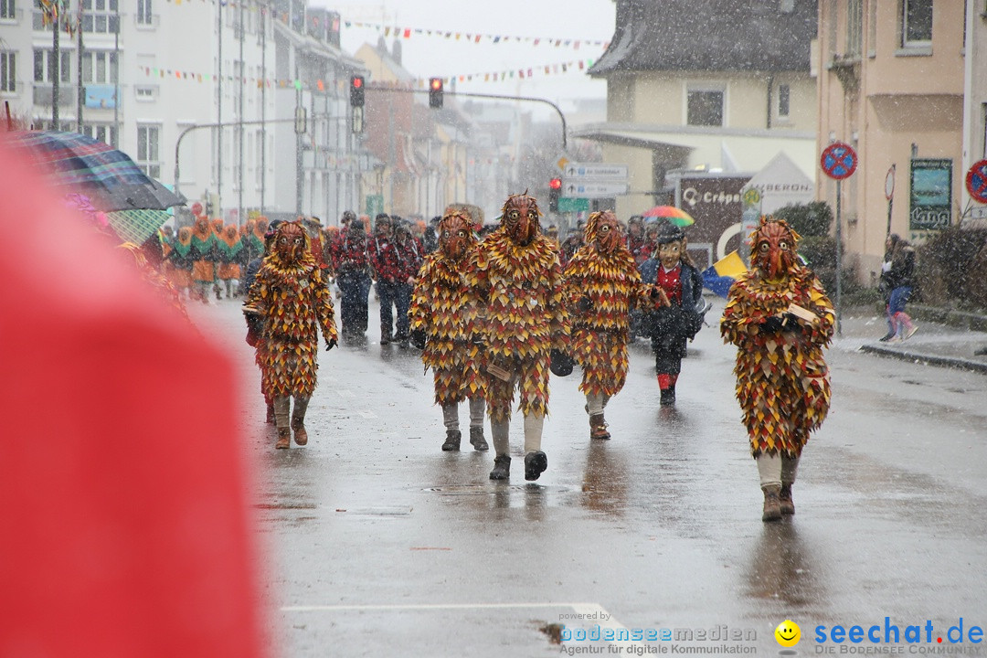 ANR - Fasnetsumzug: Friedrichshafen am Bodensee, 03.02.2019