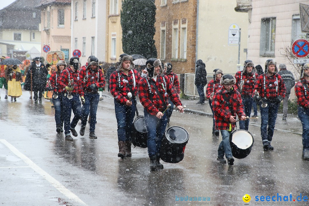 ANR - Fasnetsumzug: Friedrichshafen am Bodensee, 03.02.2019