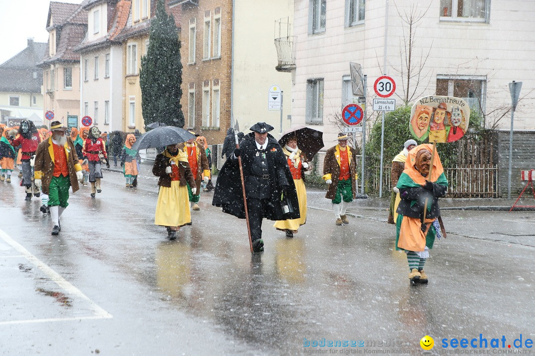 ANR - Fasnetsumzug: Friedrichshafen am Bodensee, 03.02.2019