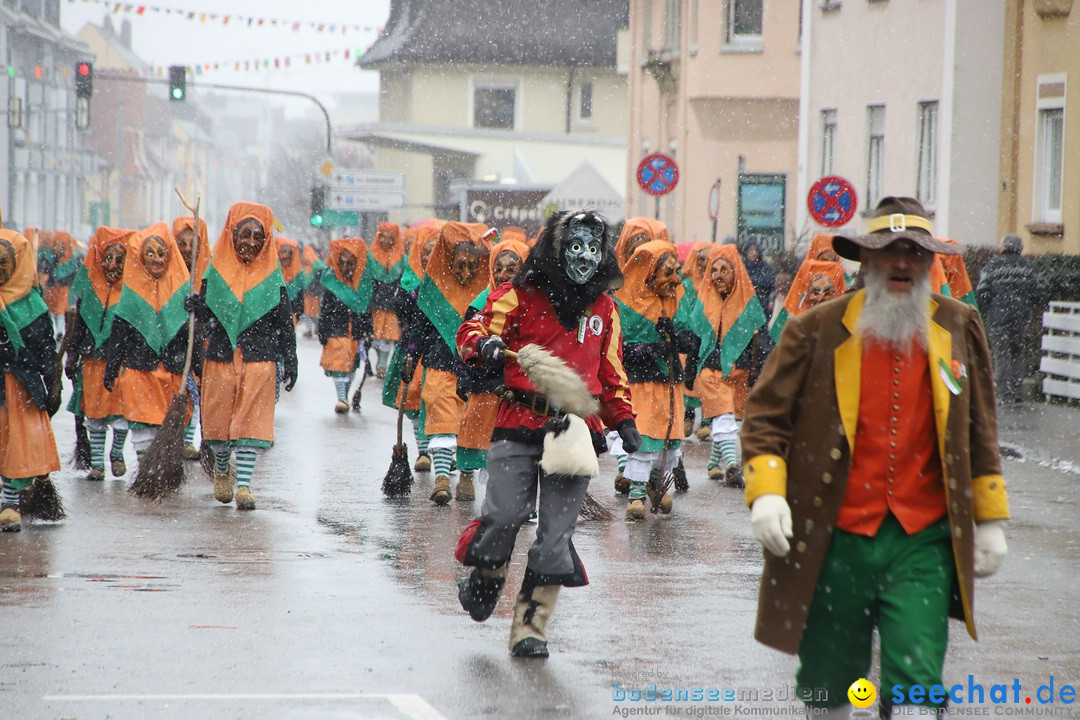 ANR - Fasnetsumzug: Friedrichshafen am Bodensee, 03.02.2019