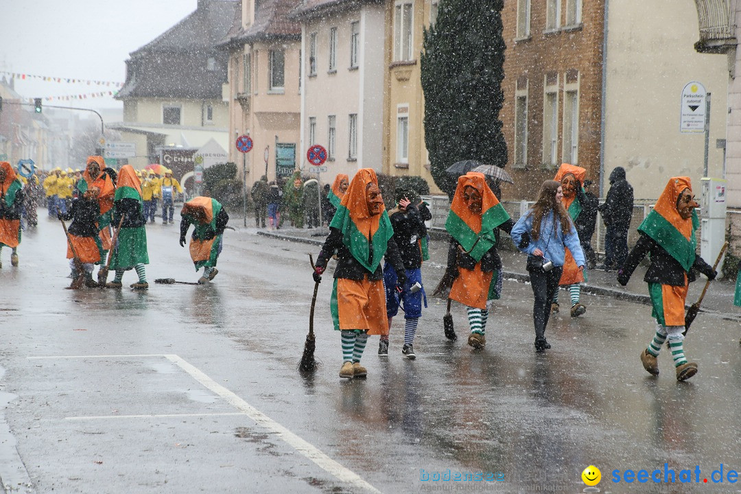 ANR - Fasnetsumzug: Friedrichshafen am Bodensee, 03.02.2019