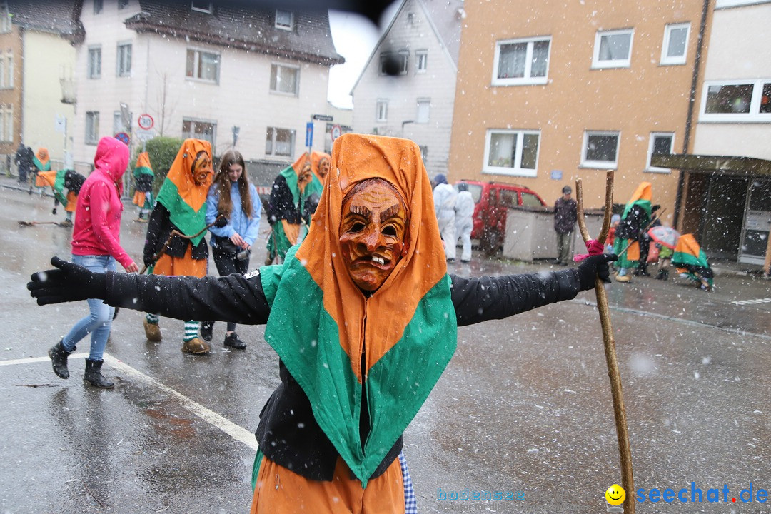 ANR - Fasnetsumzug: Friedrichshafen am Bodensee, 03.02.2019