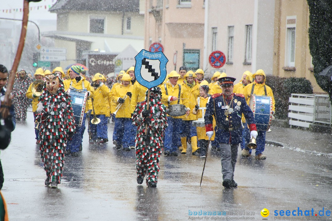 ANR - Fasnetsumzug: Friedrichshafen am Bodensee, 03.02.2019