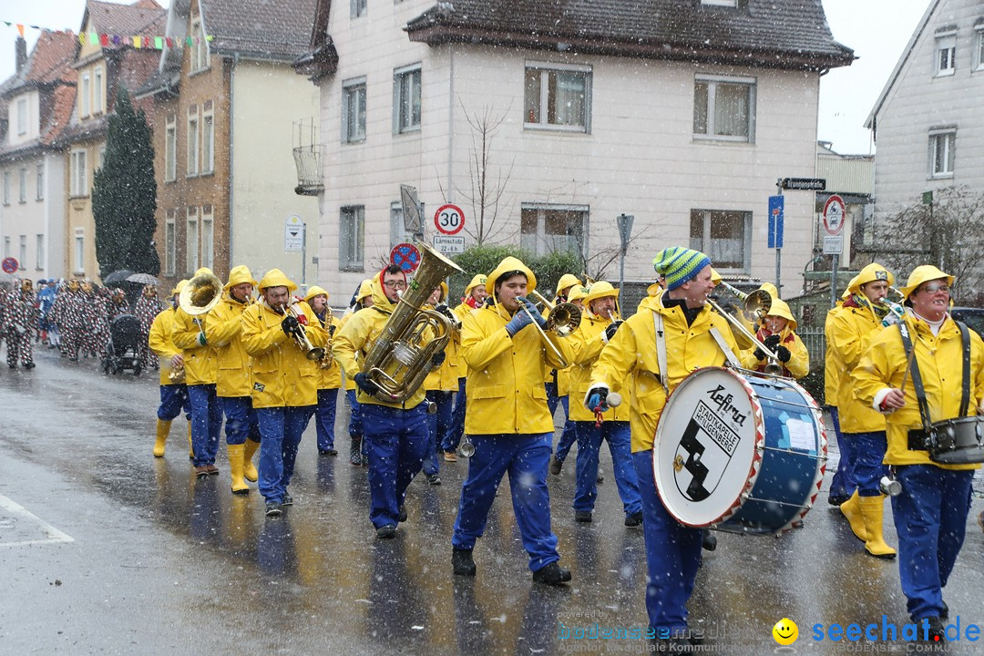 ANR - Fasnetsumzug: Friedrichshafen am Bodensee, 03.02.2019