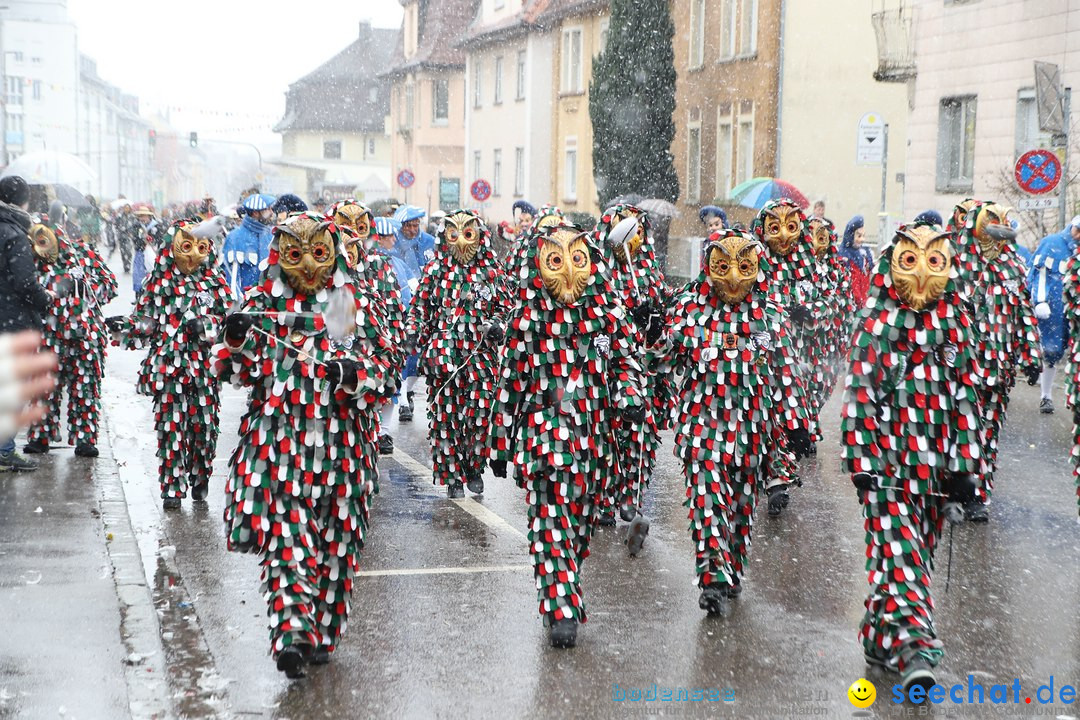 ANR - Fasnetsumzug: Friedrichshafen am Bodensee, 03.02.2019