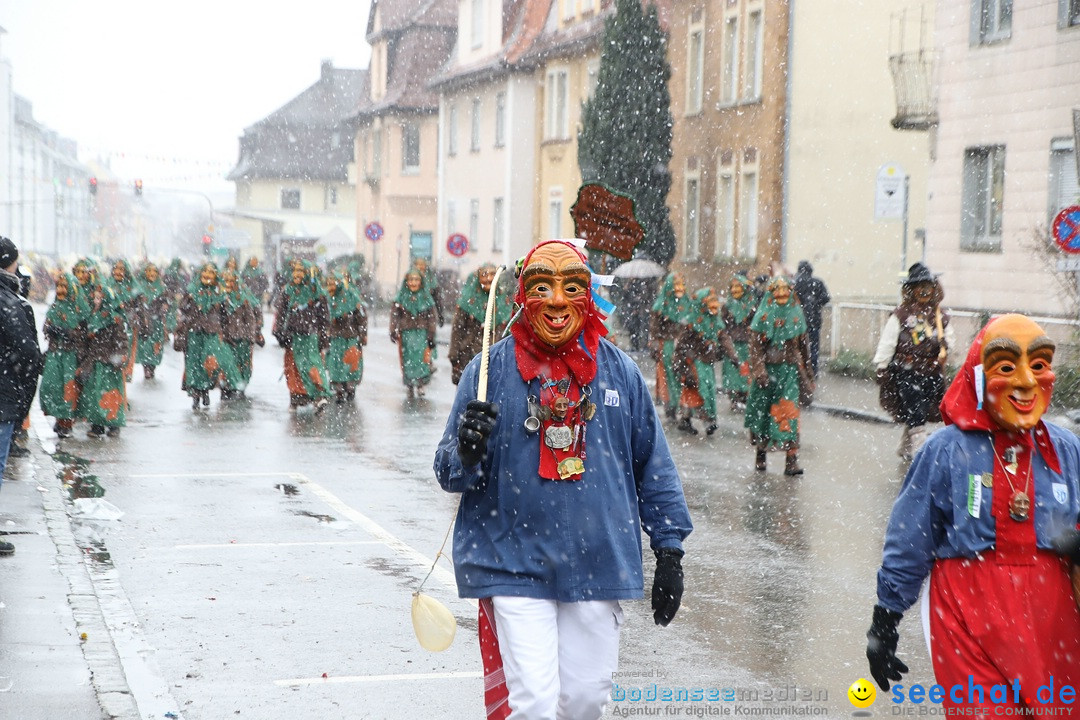 ANR - Fasnetsumzug: Friedrichshafen am Bodensee, 03.02.2019