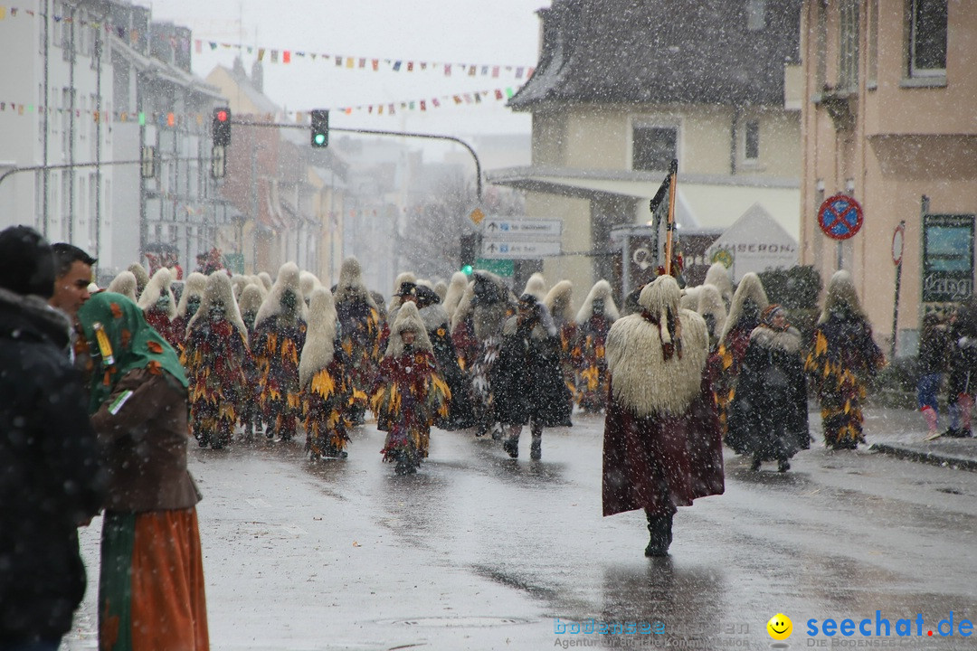 ANR - Fasnetsumzug: Friedrichshafen am Bodensee, 03.02.2019