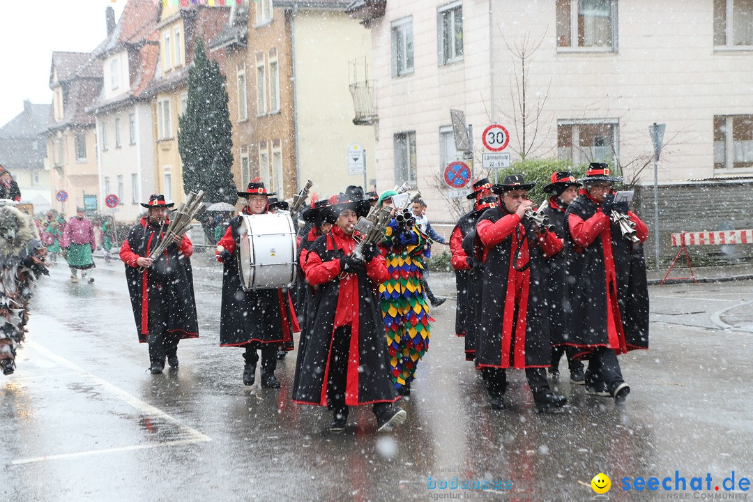 ANR - Fasnetsumzug: Friedrichshafen am Bodensee, 03.02.2019