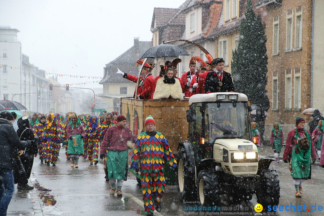 ANR - Fasnetsumzug: Friedrichshafen am Bodensee, 03.02.2019