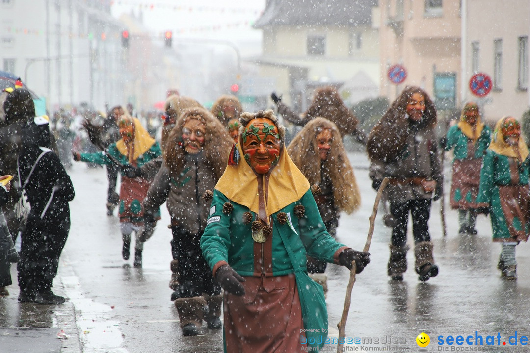 ANR - Fasnetsumzug: Friedrichshafen am Bodensee, 03.02.2019