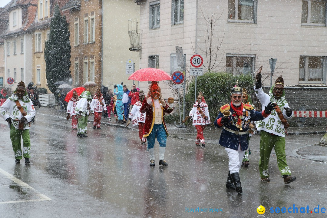 ANR - Fasnetsumzug: Friedrichshafen am Bodensee, 03.02.2019