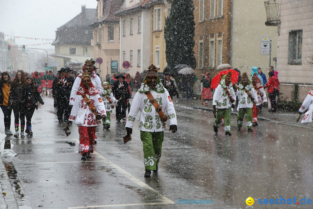 ANR - Fasnetsumzug: Friedrichshafen am Bodensee, 03.02.2019