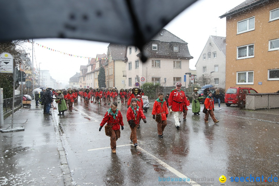 ANR - Fasnetsumzug: Friedrichshafen am Bodensee, 03.02.2019