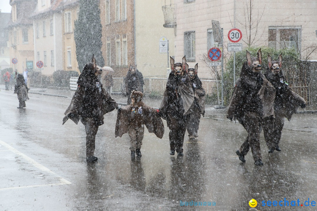 ANR - Fasnetsumzug: Friedrichshafen am Bodensee, 03.02.2019