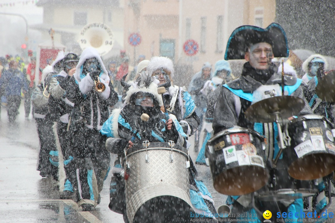 ANR - Fasnetsumzug: Friedrichshafen am Bodensee, 03.02.2019