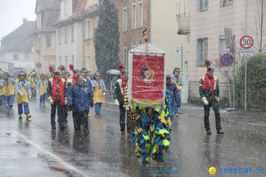 ANR - Fasnetsumzug: Friedrichshafen am Bodensee, 03.02.2019