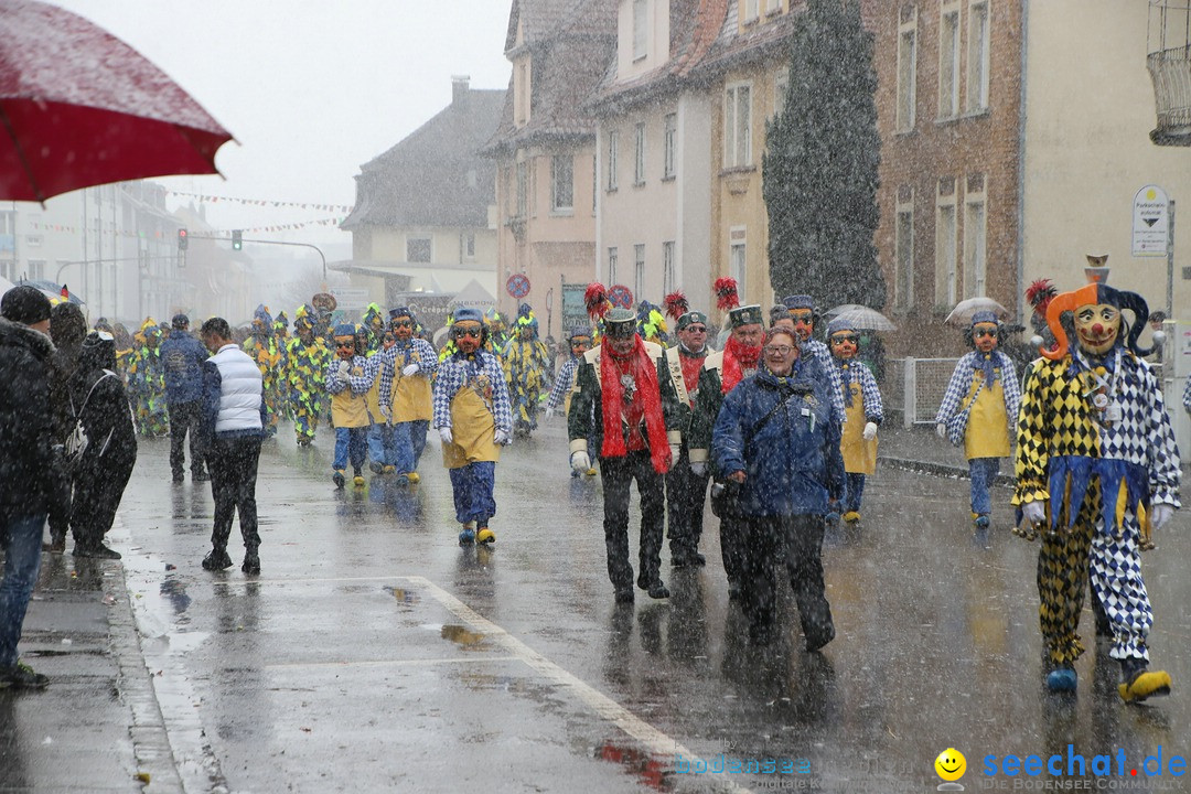 ANR - Fasnetsumzug: Friedrichshafen am Bodensee, 03.02.2019