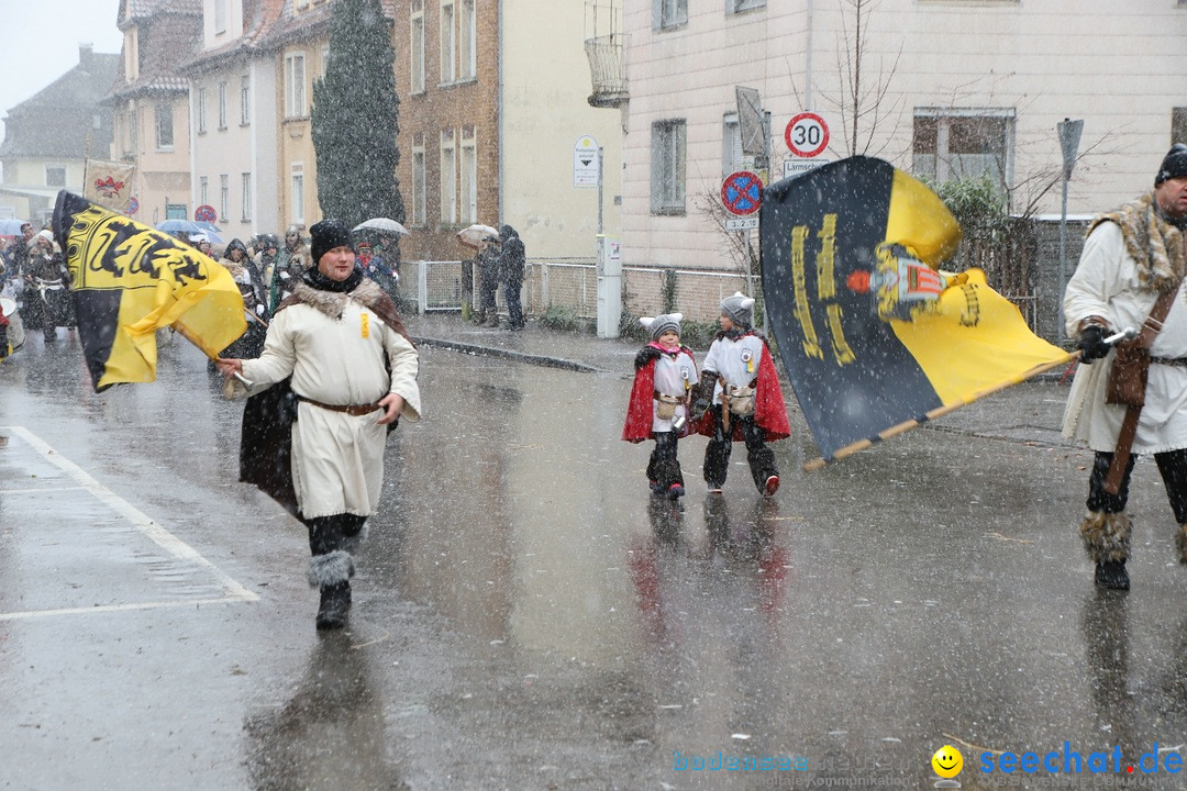 ANR - Fasnetsumzug: Friedrichshafen am Bodensee, 03.02.2019