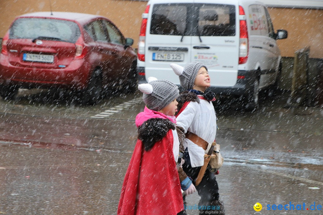 ANR - Fasnetsumzug: Friedrichshafen am Bodensee, 03.02.2019