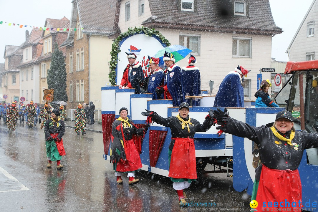 ANR - Fasnetsumzug: Friedrichshafen am Bodensee, 03.02.2019