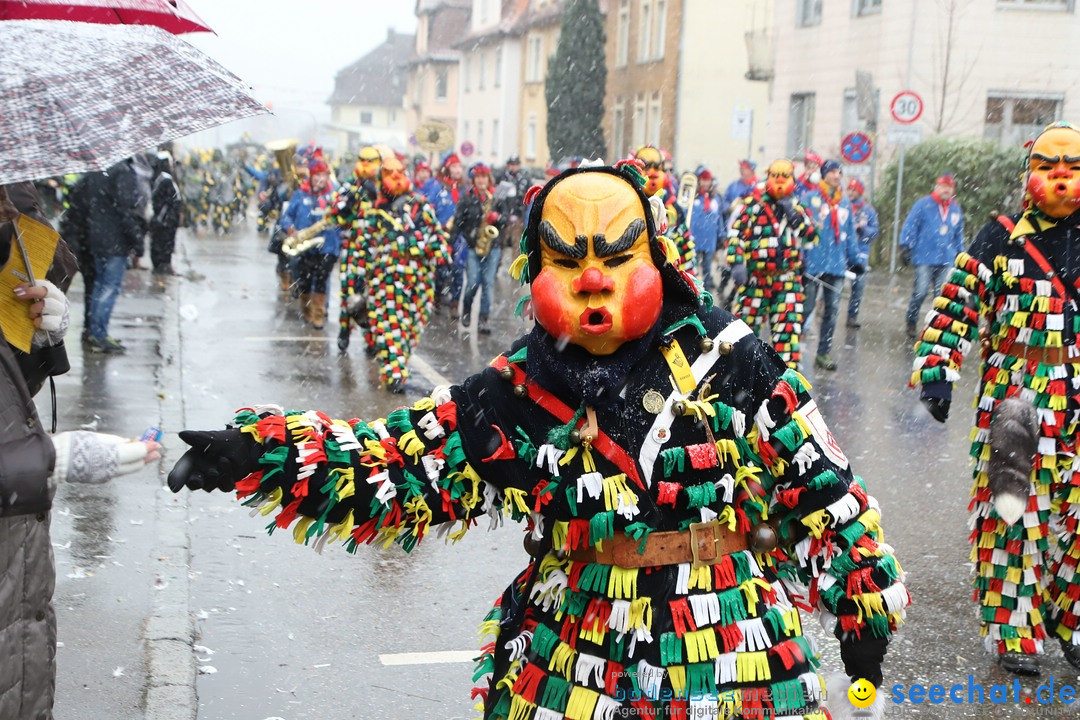 ANR - Fasnetsumzug: Friedrichshafen am Bodensee, 03.02.2019