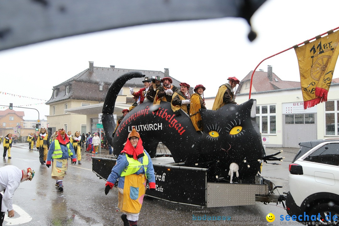 ANR - Fasnetsumzug: Friedrichshafen am Bodensee, 03.02.2019