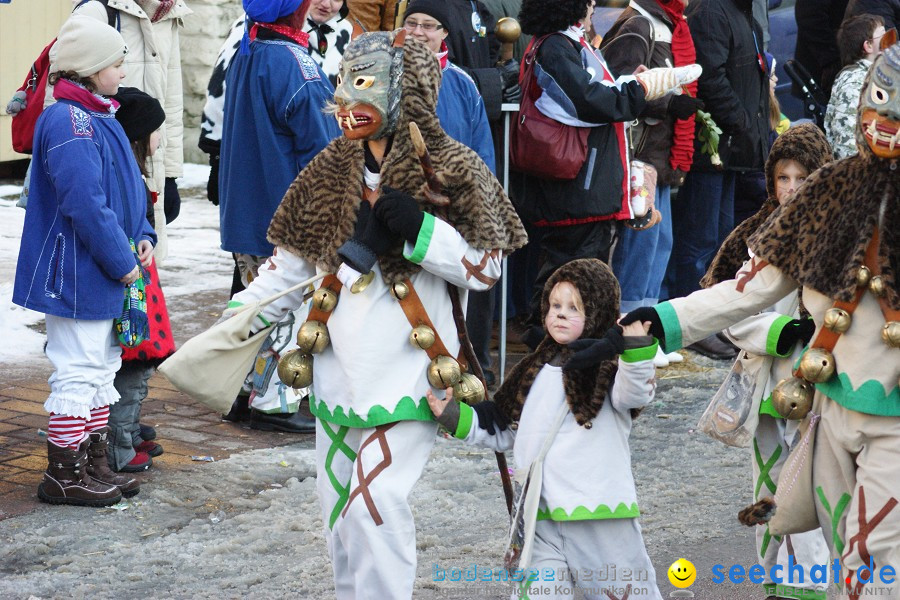 Narrenumzug: Villingen, 16.02.2010