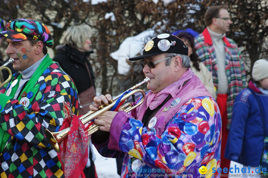 Narrenumzug: Villingen, 16.02.2010