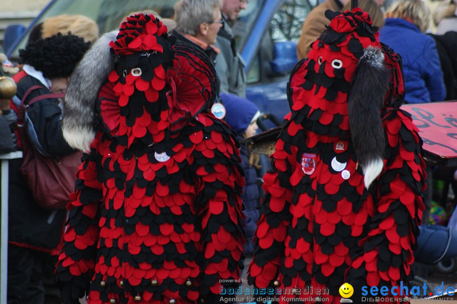 Narrenumzug: Villingen, 16.02.2010