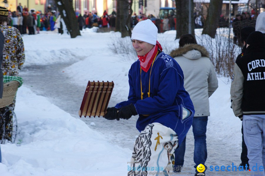 Narrenumzug: Villingen, 16.02.2010