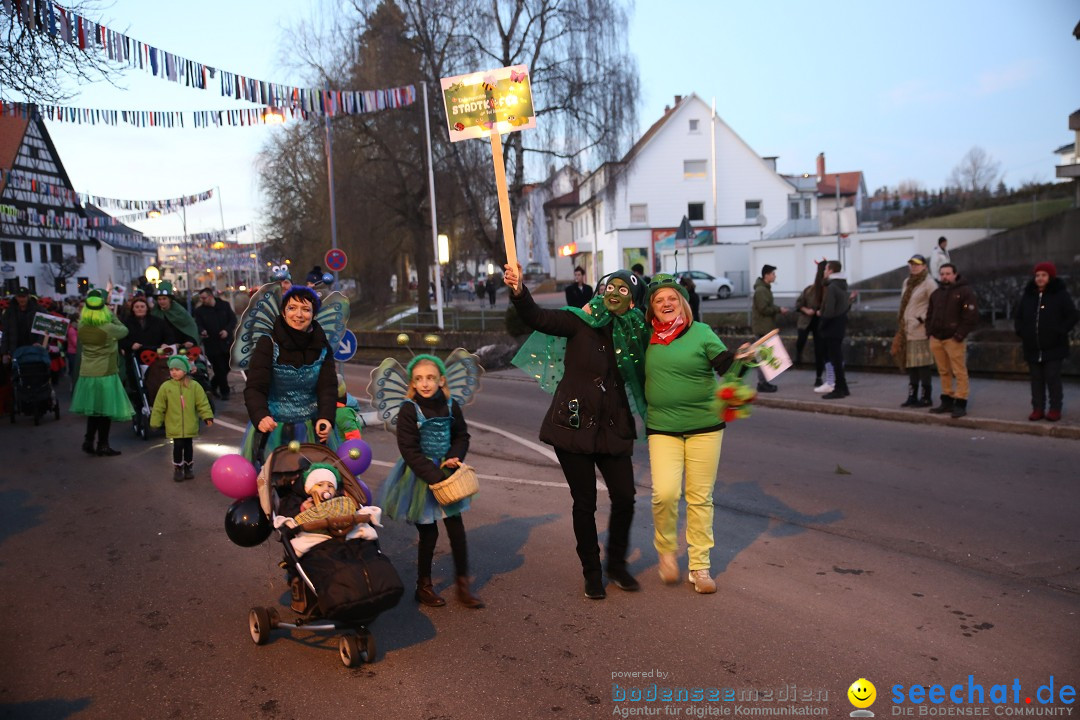 40 Jahre Urviecherzunft - Umzug: Bad Duerrheim, 16.02.2019