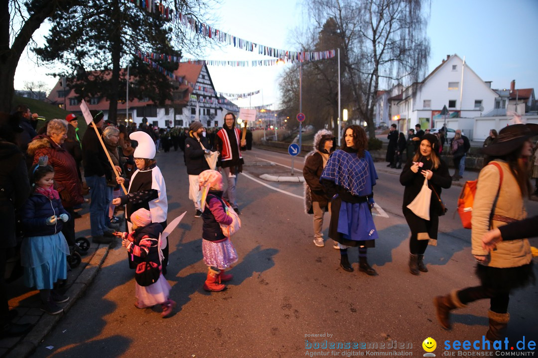 40 Jahre Urviecherzunft - Umzug: Bad Duerrheim, 16.02.2019