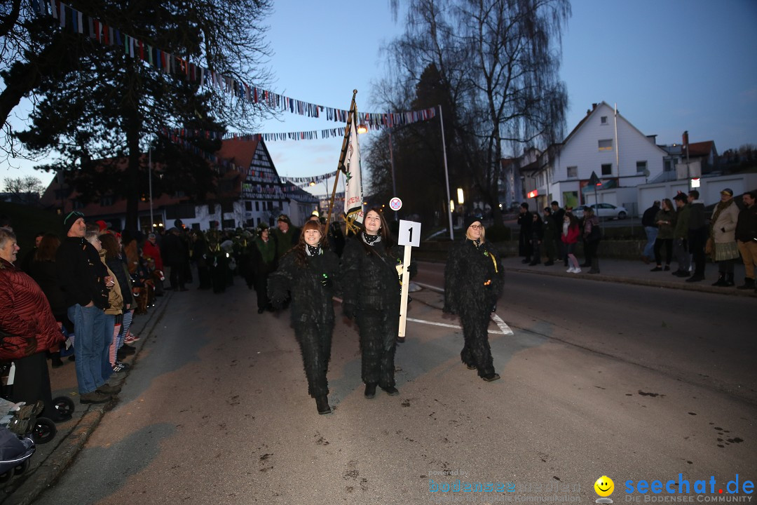 40 Jahre Urviecherzunft - Umzug: Bad Duerrheim, 16.02.2019