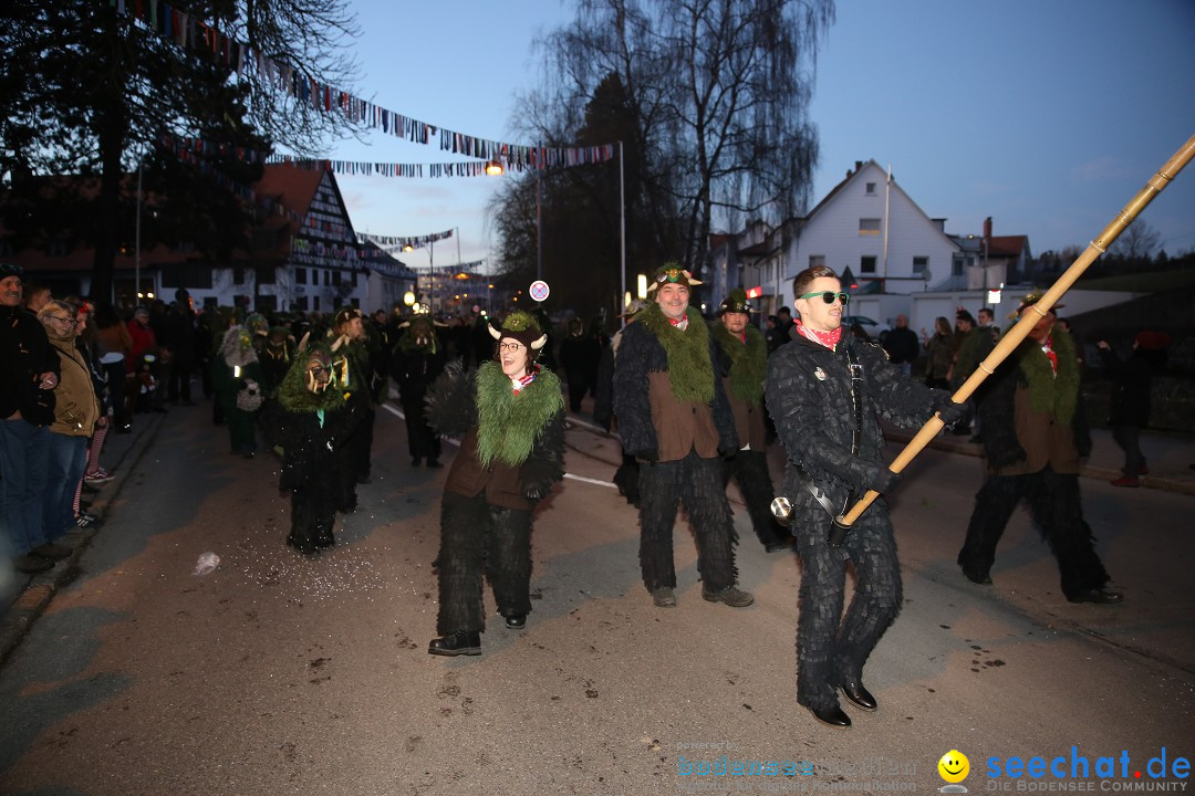 40 Jahre Urviecherzunft - Umzug: Bad Duerrheim, 16.02.2019