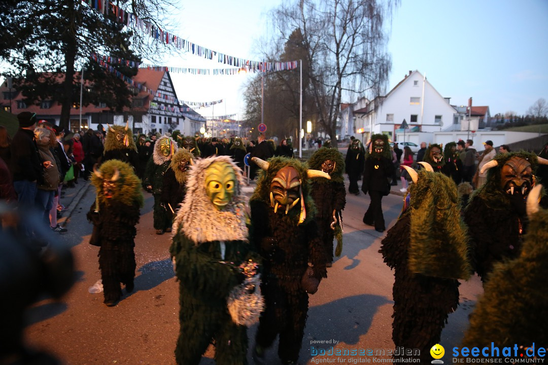 40 Jahre Urviecherzunft - Umzug: Bad Duerrheim, 16.02.2019