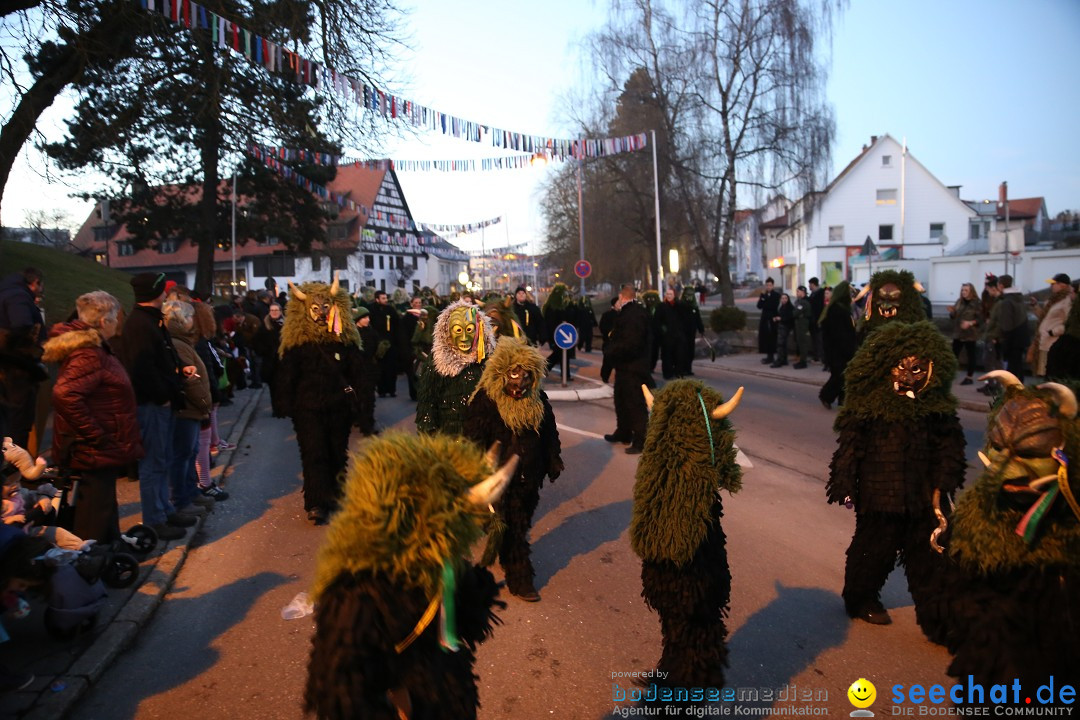 40 Jahre Urviecherzunft - Umzug: Bad Duerrheim, 16.02.2019