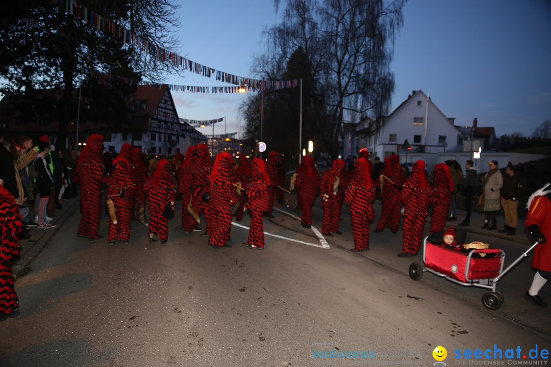 40 Jahre Urviecherzunft - Umzug: Bad Duerrheim, 16.02.2019