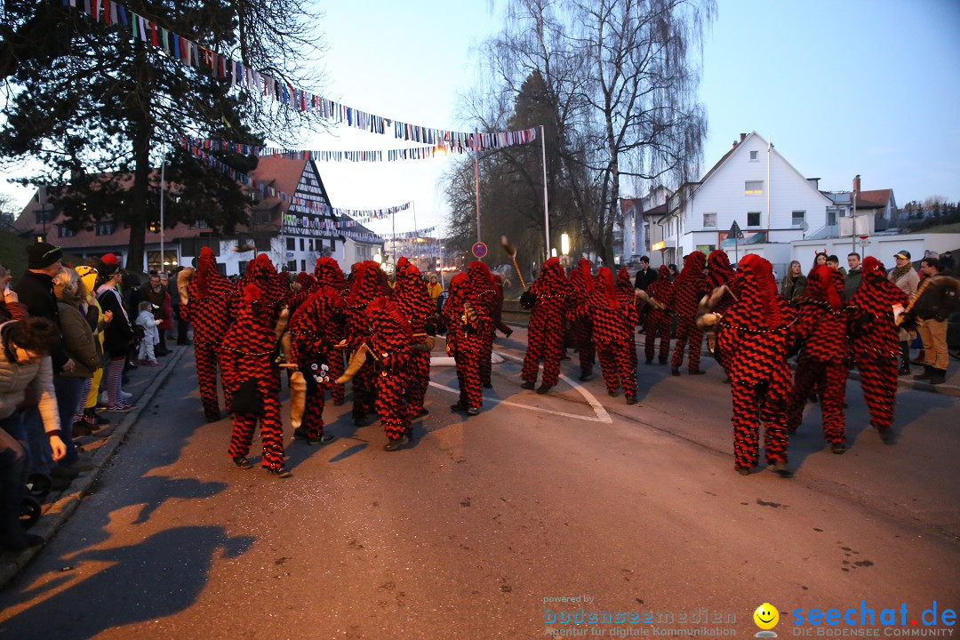 40 Jahre Urviecherzunft - Umzug: Bad Duerrheim, 16.02.2019