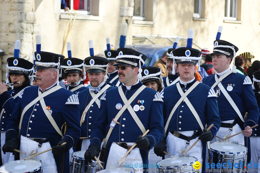 Narrenumzug: Villingen, 16.02.2010