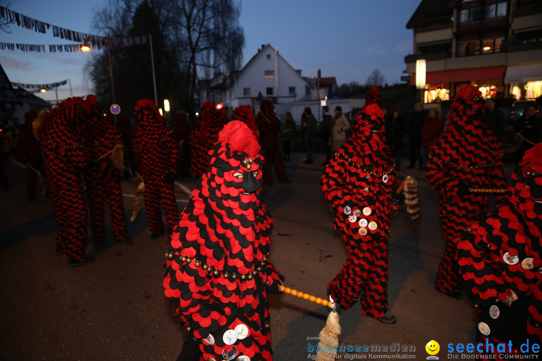 40 Jahre Urviecherzunft - Umzug: Bad Duerrheim, 16.02.2019