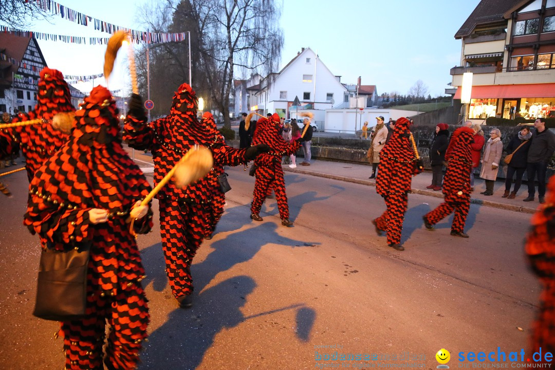 40 Jahre Urviecherzunft - Umzug: Bad Duerrheim, 16.02.2019