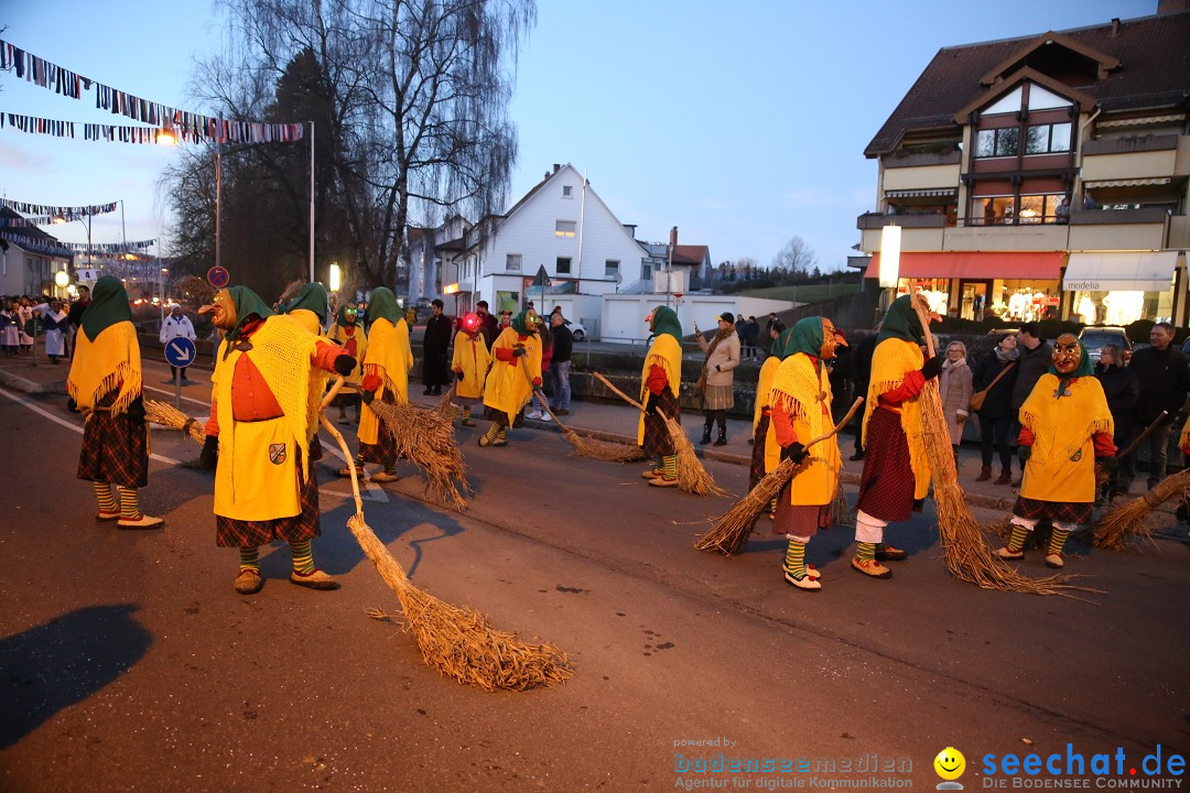 40 Jahre Urviecherzunft - Umzug: Bad Duerrheim, 16.02.2019