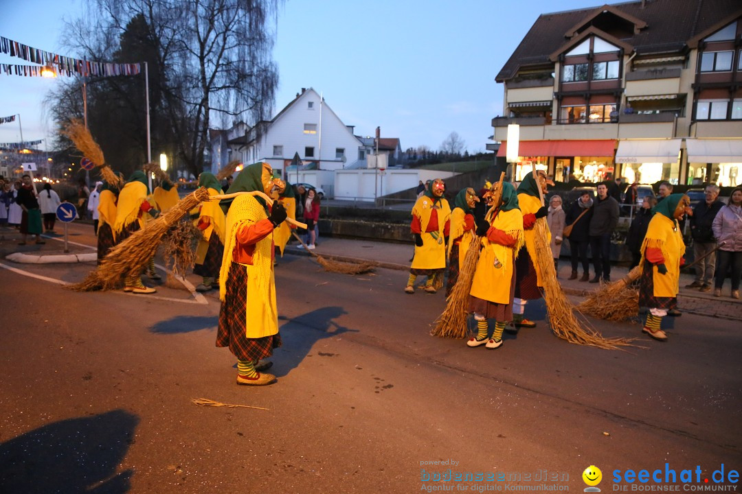 40 Jahre Urviecherzunft - Umzug: Bad Duerrheim, 16.02.2019