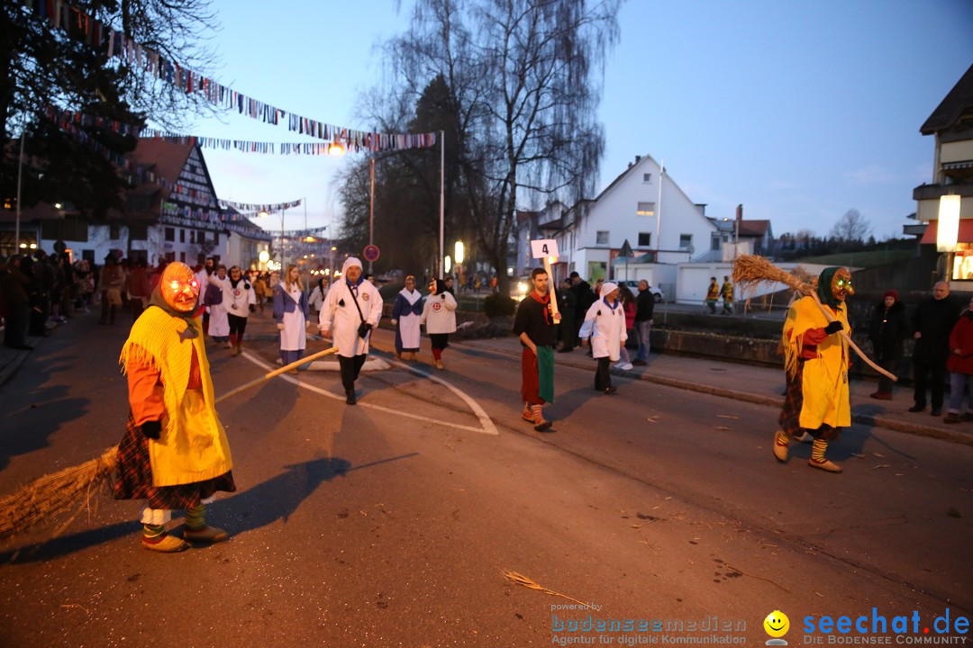 40 Jahre Urviecherzunft - Umzug: Bad Duerrheim, 16.02.2019