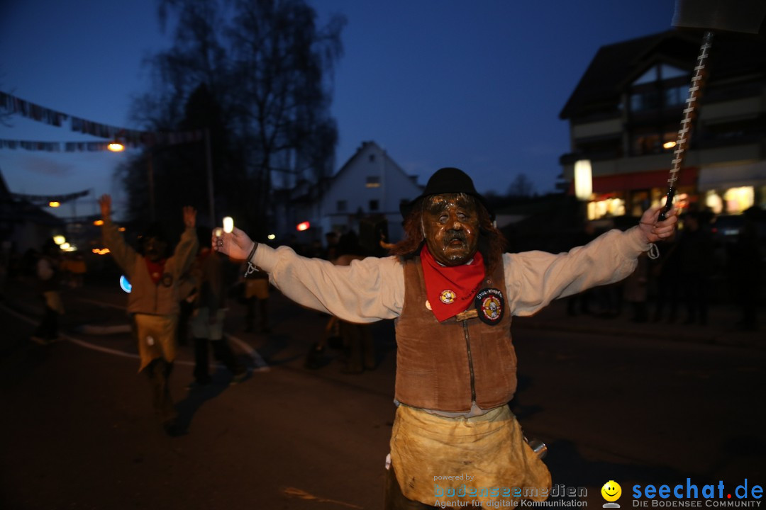 40 Jahre Urviecherzunft - Umzug: Bad Duerrheim, 16.02.2019