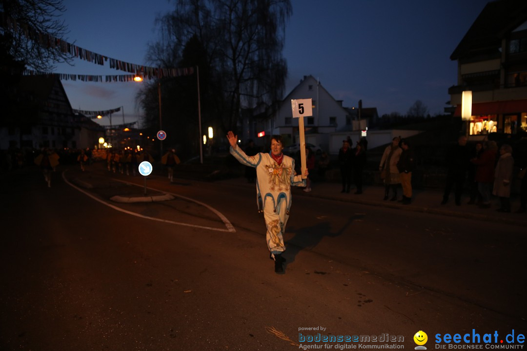 40 Jahre Urviecherzunft - Umzug: Bad Duerrheim, 16.02.2019