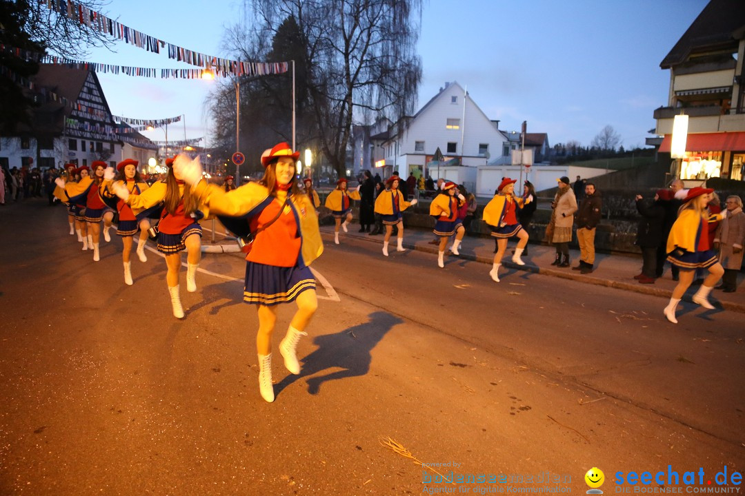 40 Jahre Urviecherzunft - Umzug: Bad Duerrheim, 16.02.2019