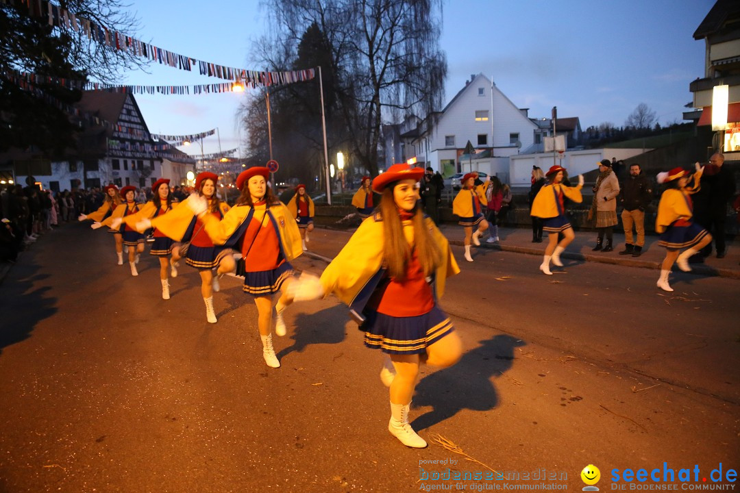 40 Jahre Urviecherzunft - Umzug: Bad Duerrheim, 16.02.2019