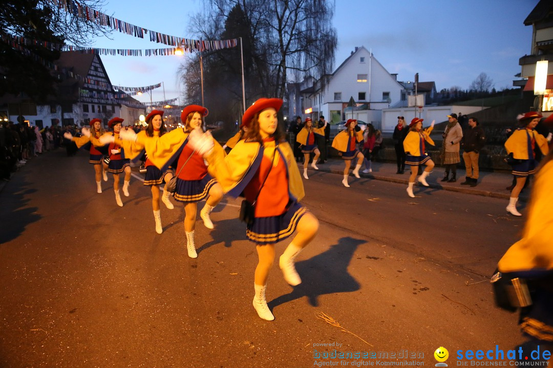 40 Jahre Urviecherzunft - Umzug: Bad Duerrheim, 16.02.2019