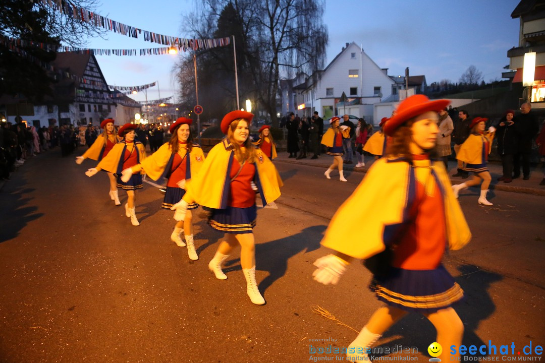 40 Jahre Urviecherzunft - Umzug: Bad Duerrheim, 16.02.2019